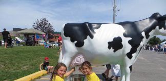 "Maple the Cow", a life-size milkable cow model featuring milk donated by Kawartha Dairy, is one of the attractions at the 2018 Ennismore Shamrock Festival, which takes place this weekend (July 21 and 22) at the Ennismore Robert E. Young Recreation Complex in Selwyn Township. (Photo: Township of Selwyn)