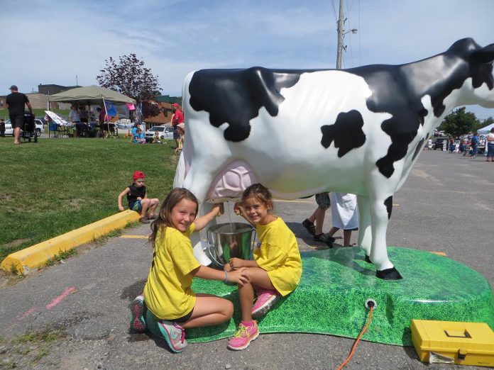 "Maple the Cow", a life-size milkable cow model featuring milk donated by Kawartha Dairy, is one of the attractions at the 2018 Ennismore Shamrock Festival, which takes place this weekend (July 21 and 22) at the Ennismore Robert E. Young Recreation Complex in Selwyn Township. (Photo: Township of Selwyn)