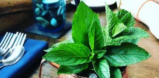 Summer is the season for refreshing cocktails, and local establishments in the Kawarthas offer creative options with seasonal ingredients, such as Lantern Restaurant & Grill’s Stony Mule made with local spirits and mint fresh from the garden. (Photo: Lantern Restaurant & Grill)