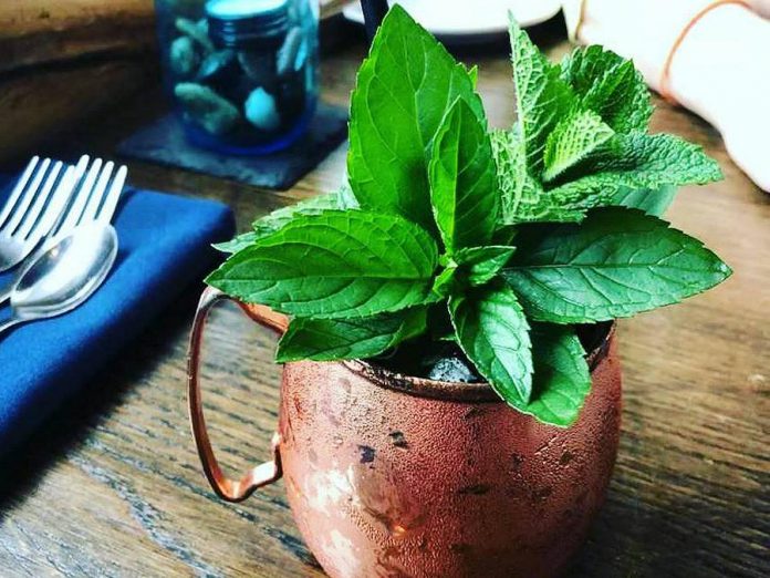 Summer is the season for refreshing cocktails, and local establishments in the Kawarthas offer creative options with seasonal ingredients, such as Lantern Restaurant & Grill’s Stony Mule made with local spirits and mint fresh from the garden. (Photo: Lantern Restaurant & Grill)