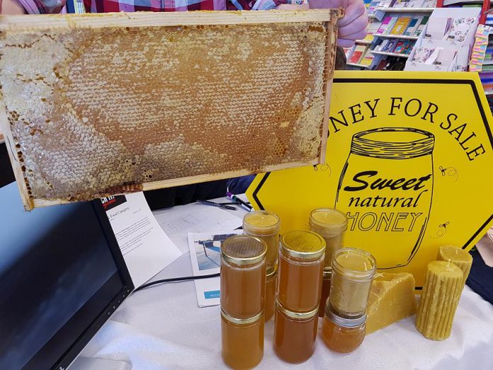 Nathan Clifford of Green Improvements displays a honeycomb frame from a beehive. Nathan is developing PiHive, a beehive monitor that will provide beekeepers with accurate data about the health of their hives. (Photo: Amy Bowen / kawarthaNOW.com)