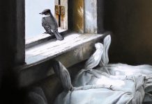 A detail from "Looking Out", an original graphite study by artist Michael Dumas and the featured painting in "The Lives of Birds", the special exhibit at this year's Buckhorn Fine Art Festival from August 17 to 19, 2018. Ticket holders at opening night on Friday, August 17 will automatically be entered into a draw for this painting, valued at $1,000. (Photo courtesy of Buckhorn Fine Art Festival)