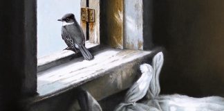 A detail from "Looking Out", an original graphite study by artist Michael Dumas and the featured painting in "The Lives of Birds", the special exhibit at this year's Buckhorn Fine Art Festival from August 17 to 19, 2018. Ticket holders at opening night on Friday, August 17 will automatically be entered into a draw for this painting, valued at $1,000. (Photo courtesy of Buckhorn Fine Art Festival)
