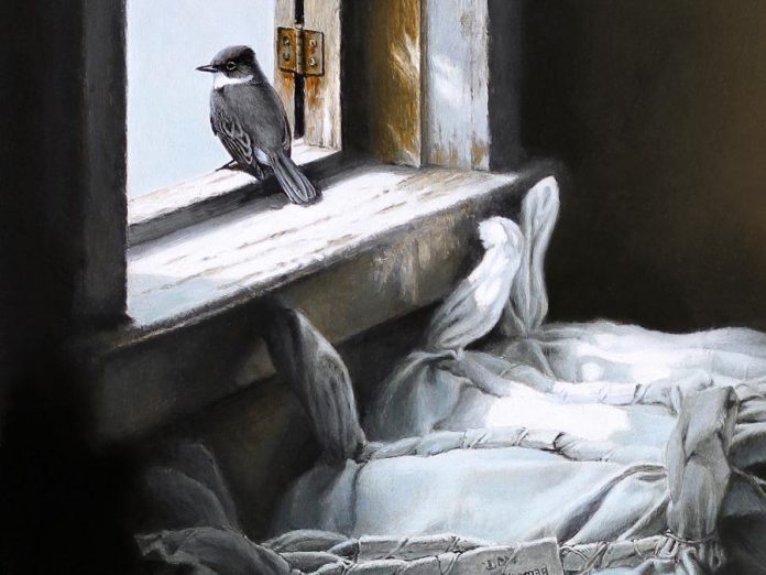 A detail from "Looking Out", an original graphite study by artist Michael Dumas and the featured painting in "The Lives of Birds", the special exhibit at this year's Buckhorn Fine Art Festival from August 17 to 19, 2018. Ticket holders at opening night on Friday, August 17 will automatically be entered into a draw for this painting, valued at $1,000. (Photo courtesy of Buckhorn Fine Art Festival)