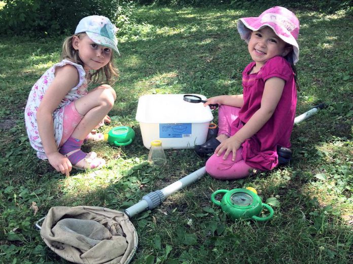 This year at Ecology Park Family Night, enjoy a stream study including dip netting and invertebrate identification along the banks of Meade Creek that runs right though the park.(Photo: Karen Halley)