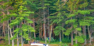 The photo of back country camping at Kawartha Highlands Provincial Park was the top photo on our Instagram for July 2018. (Photo: Jasmine Starr @jasminenstarr / Instagram)