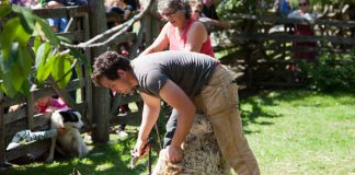 Lang Pioneer Village in Keene is hosting the first-ever Fibrelicious Food & Fibre Arts Festival from August 10-12, 2018. The event features demonstrations including sheep herding and shearing, textiles, rug hooking, hand weaving, and broom making, along with culinary demonstrations include cooking in a dutch oven, ice cream making, baking the perfect pie, and a variety of tasty treats. (Photo: Michael Hurcomb)