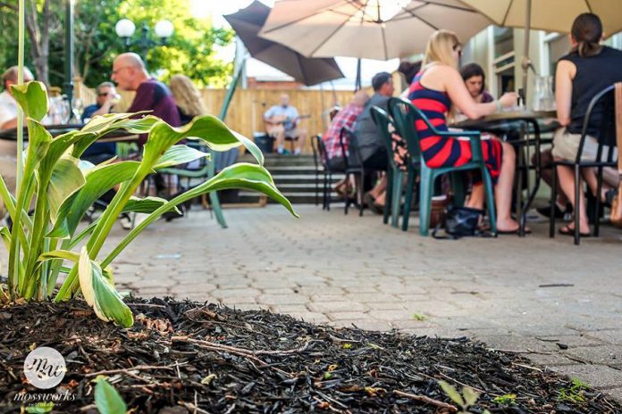 The Fresh Dreams patio was built to be reminiscent of patios in Madrid, Alvaro and Monica's previous home. (Photo: Mossworks Photography)