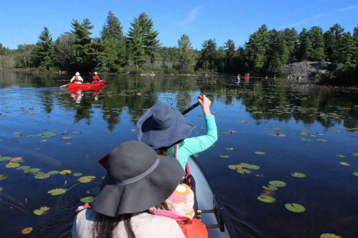 Kawartha Highlands Provincial Park in northern Peterborough County offers a backcountry experience for novice paddlers and seasoned trippers alike, with more than 100 campsites spread over six recommended loops accessible only by canoe or kayak.