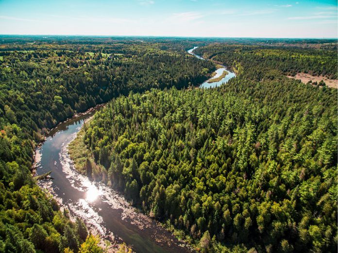 Along with the caves, Warsaw Caves Conservation Area and Campground offers hiking trails, paddling, and fishing along the scenic Indian River.