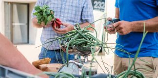 You can enjoy produce, prepared foods, and more from the Peterborough Regional Farmers' Market all winter long, as the market has secured a location in Peterborough Square in downtown Peterborough from November to April. (Photo: Jenn Austin-Driver)