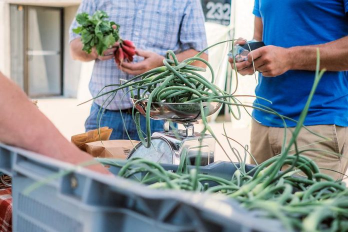 You can enjoy produce, prepared foods, and more from the Peterborough Regional Farmers' Market all winter long, as the market has secured a location in Peterborough Square in downtown Peterborough from November to April. (Photo: Jenn Austin-Driver)