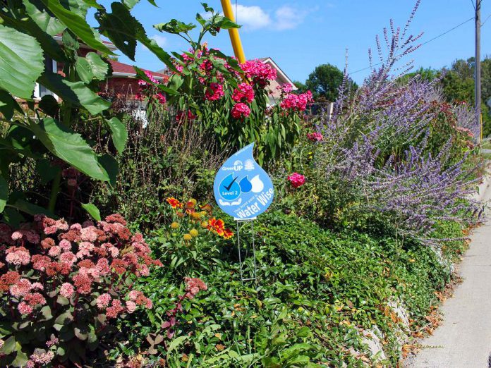 The GreenUP Water Wise program recognizes residents that have adopted Water Wise landscaping practices, such as reducing the amount of lawn in their yard, planting rough-tolerant native species, and using a rain barrel, all of which help to reduce reliance on municipal water. (Photo: GreenUP)