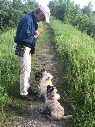 At her large rural property in Bethany, Karen offers a unique "boarding school" for dogs, where she completes initial training of dogs, with longer stays for dogs with serious behavioral issues.  (Supplied photo)