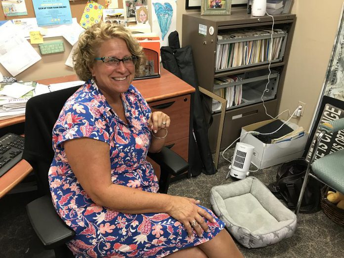 Susan in her office at the Peterborough Humane Society which, naturally, includes a pet bed.  (Photo: Barb Shaw)