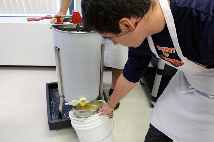 Holy Cross Bee Club member Jacob Duda helps to drain honey from the honey extractor into buckets, that will then go through several stages of filtering. (Photo: Karen Halley)