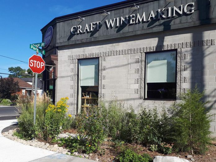 The Wine Shoppe on Park, on the corner of Park and Brock Streets in Peterborough, is one of many local businesses taking environmental actions to green their business. In 2016, The Wine Shoppe worked with GreenUP to DePave an area outside their front entrance, replacing pavement with a garden. (Photo courtesy of GreenUP)