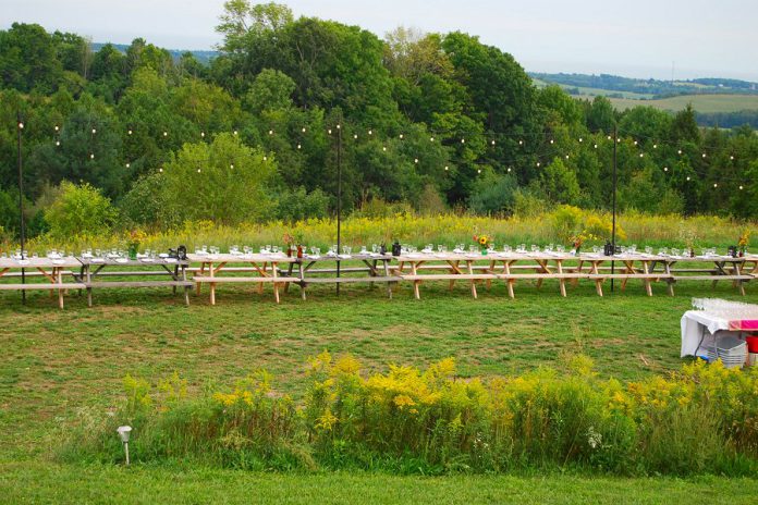 Place settings for 100 people to enjoy local food and drink during the Cultivate long table launch dinner at Headwaters Community Farm and Education Centre. (Photo: April Potter / kawarthaNOW.com)