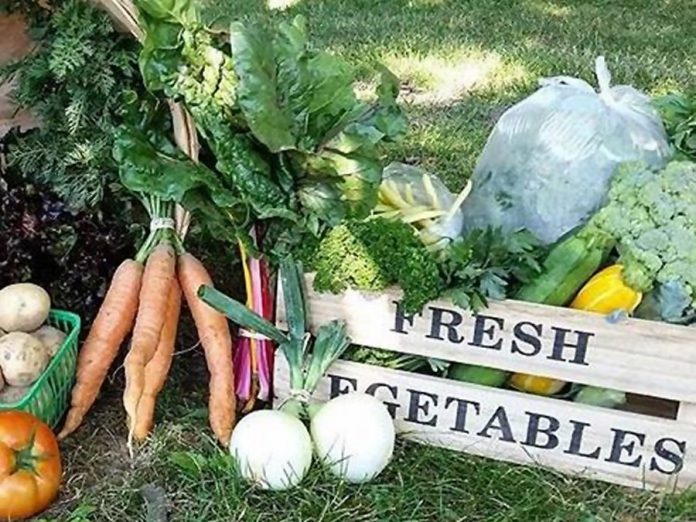 Lunar Rhythm Gardens will offer fresh vegetables at this year's Peterborough Vegfest. (Photo:  Peterborough VegFest / Facebook)