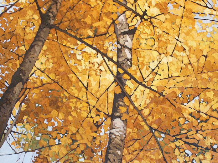 A detail from "Looking Up" by Lakefield artist Peter Rotter, one of the artists participating in this year's  Kawartha Autumn Studio Tour. (Photo courtesy Art Gallery of Peterborough)