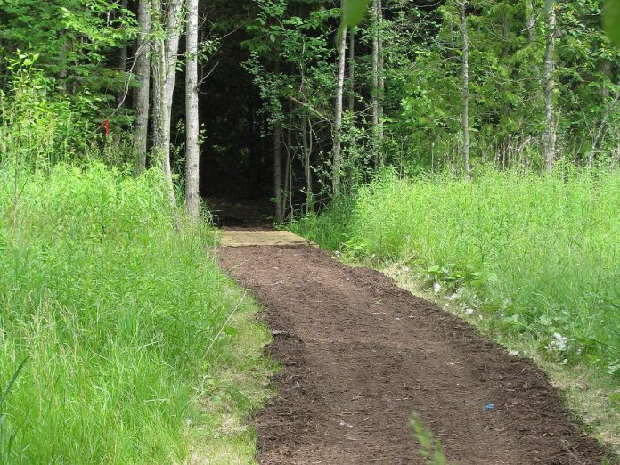 Robert Johnston EcoForest Trails in Douro-Dummer Township has four trails that pass through a cedar forest, a red pine forest, a small hardwood forest, a wetlands, and more. (Photo: Ernie Silhanek)