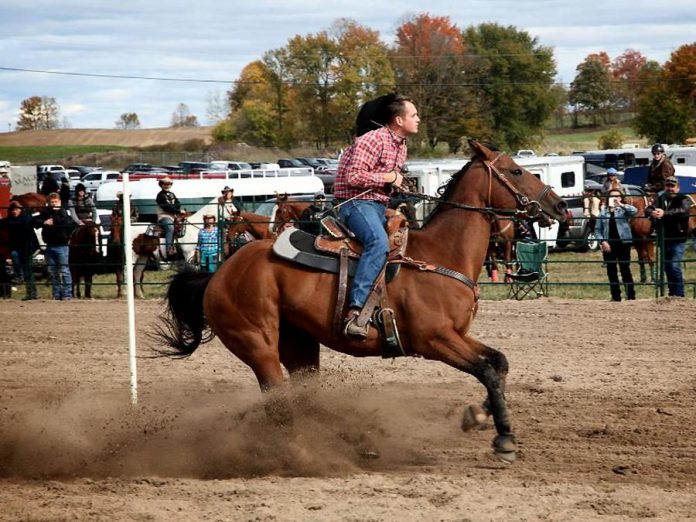 A cowboy competition is only one of many events and activities at the Norwood Fair over the Thanksgiving weekend.