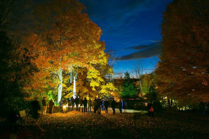 Featuring 16 performers in 21 scenes, "The Shadow Walk of Millbrook" takes its audience on a journey through Millbrook's paranormal history in a unique walking tour that begins at the Old Millbrook School.  (Photo: Wayne Eardley / Brookside Studio)