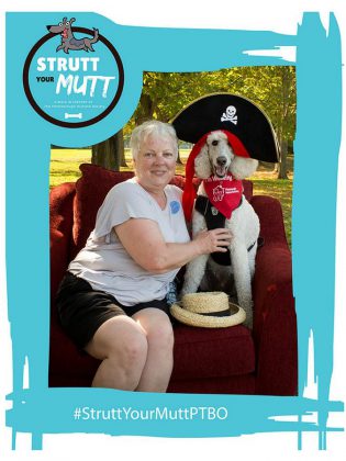 There's a photo booth at "Strutt Your Mutt", so you may want to give your dog a chance to express their personality. (Photo courtesy of Peterborough Humane Society)