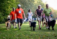 The "Strutt Your Mutt" fun dog walk and fundraiser for the Peterborough Humane Society takes place on Sunday, September 23, 2018 at Beavermead Park in Peterborough. With only a couple of days left before the event, the Peterborough Humane Society needs your help right now to help meet its $25,000 fundraising goal. (Photo courtesy of Peterborough Humane Society)