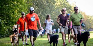The "Strutt Your Mutt" fun dog walk and fundraiser for the Peterborough Humane Society takes place on Sunday, September 23, 2018 at Beavermead Park in Peterborough. With only a couple of days left before the event, the Peterborough Humane Society needs your help right now to help meet its $25,000 fundraising goal. (Photo courtesy of Peterborough Humane Society)