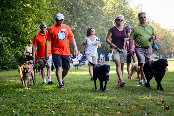 The "Strutt Your Mutt" fun dog walk and fundraiser for the Peterborough Humane Society takes place on Sunday, September 23, 2018 at Beavermead Park in Peterborough. With only a couple of days left before the event, the Peterborough Humane Society needs your help right now to help meet its $25,000 fundraising goal. (Photo courtesy of Peterborough Humane Society)