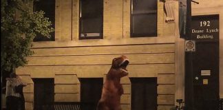 Sarah "T-Rex" Anderson walks down Hunter Street West in downtown Peterborough in her dinosaur costume. The Peterborough resident is thinking of creating a group where people can do safe, silly and fun things. (Screenshot from Facebook video by Amanda Stewart)