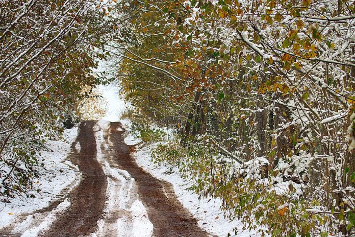 Rural road and forest during first snow of fall