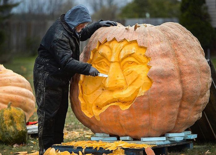 Chef-turned-carver Andrew Munro working on turning the monster pumpkin into a  jack-o'-lantern for Halloween.  (Photo: Fred Thornhill Photography)