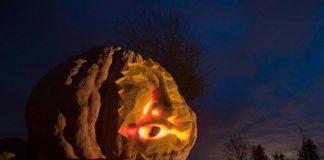 Fred Thornhill, a veteran photojournalist who resides near Bobcaygeon, took this photo of Canada's largest pumpkin, a 1,959-pound monster grown by Phil and Jane Hunt of Cameron, located north of Lindsay. Andrew Munro carved the pumpkin into a jack-o'-lantern, which is on display in the Hunts' front yard off Highway 35. (Photo: Fred Thornhill Photography)
