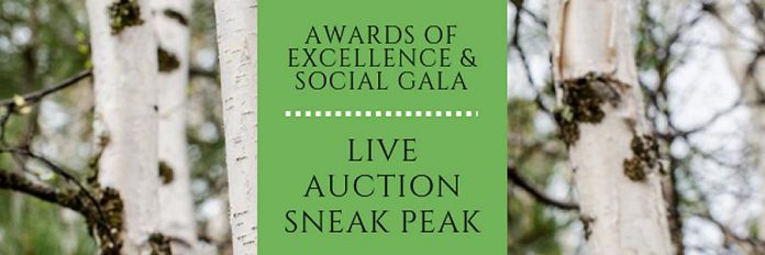 Awards of Excellence and Social Gala Live Auction