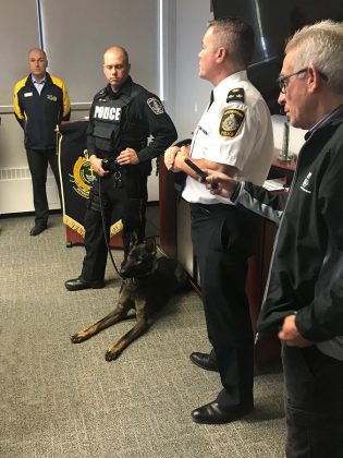 As kawarthaNOW's Paul Rellinger (right) looks on, Isaac is introduced to the media on October 26, 2018 by Rotary Club of Peterborough Kawartha president Brian Prentice (left) and Peterborough Deputy Chief of Police Tim Farquharson (second from right). Isaac is partnered with Constable Bob Cowie (second from left), a three-year member of the service. (Photo: S/Sgt. John Lyons / Twitter)