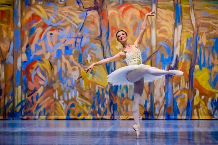 Ballet Jörgen's "The Nutcracker: A Canadian Tradition", featuring professional dancers as well as a selection of local youth dancers, will be performed on Thursday, November 29, 2018 at Showplace Performance Centre in downtown Peterborough. (Photo: Jim Orgill)