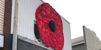 A huge hand-crafted poppy, created from thousands of smaller hand-crafted poppies, is on display on the front of the Hospice North Hastings store, Vintage on Hastings (67 Hastings St. N., Bancroft) until Remembrance Day. (Photo: Barb Shaw)