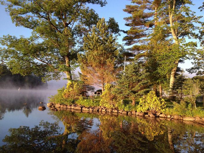 Hannan's family owns an island on Katchewanooka Lake at Young's Point, where he learned to swim and where he first tested the CobraMask. (Photo courtesy of Jeremy Hannan)