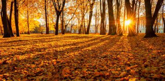 Clocks move back an hour at 2 a.m. on Sunday, November 4, 2018 when Daylight Saving Time ends. The good news is that we regain that extra hour we lost in the spring; the bad news is that it will be dark by 5 p.m.