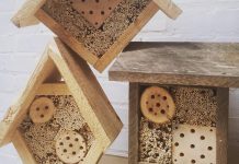 Three Sisters, a local eco-landscaping social enterprise, makes hand-crafted bee houses designed to house native bees. A unique and eco-friendly gift for the gardener on your list, you can get them at the GreenUP Store in downtown Peterborough. (Photo: Three Sisters)