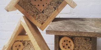 Three Sisters, a local eco-landscaping social enterprise, makes hand-crafted bee houses designed to house native bees. A unique and eco-friendly gift for the gardener on your list, you can get them at the GreenUP Store in downtown Peterborough. (Photo: Three Sisters)