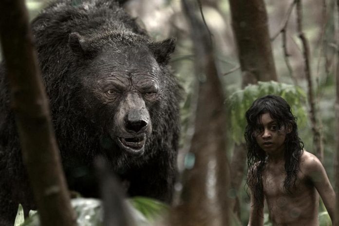 The Netflix flim "Mowgli: Legend of the Jungle", a retelling of  Rudyard Kipling's masterpiece, is coming to Netflix Canada on December 7th. (Photo: Netflix)