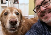 Mike Melnik, former radio host and owner of Impact Communications in Peterborough, with his dog Rosie. One winter, Mike was out walking Rosie when he had a serious fall, requiring a trip to the emergency room at Peterborough Regional Health Centre (PRHC) and five days of treatment and recovery at the hospital. Private donations from people like you allow PRHC to purchase the technology and equipment to advance patient care, both in the emergency room and throughout the hospital. (Supplied photo)