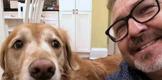 Mike Melnik, former radio host and owner of Impact Communications in Peterborough, with his dog Rosie. One winter, Mike was out walking Rosie when he had a serious fall, requiring a trip to the emergency room at Peterborough Regional Health Centre (PRHC) and five days of treatment and recovery at the hospital. Private donations from people like you allow PRHC to purchase the technology and equipment to advance patient care, both in the emergency room and throughout the hospital. (Supplied photo)