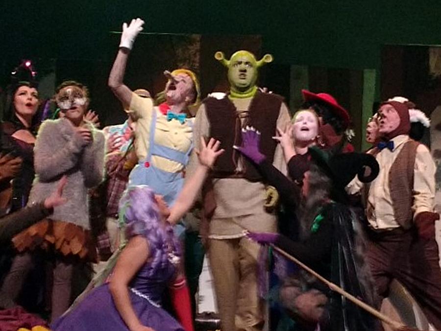 Shrek The Musical - ProductionPro