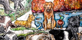 A detail from "Unlimited", Peterborough artist Lisa Martini-Dunk's scratchboard piece that has been selected for the official poster for National Purebred Dog Day on May 1, 2019. (Photo: National Purebred Dog Day)