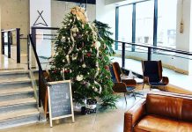 The lobby of VentureNorth in downtown Peterborough, the location of many of the area's economic development organizations, is decorated for the holidays in advance of a Christmas celebration, one of several business-related holiday celebrations on the afternoon of December 4, 2018. (Photo: VentureNorth)