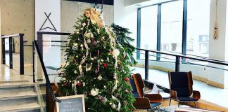 The lobby of VentureNorth in downtown Peterborough, the location of many of the area's economic development organizations, is decorated for the holidays in advance of a Christmas celebration, one of several business-related holiday celebrations on the afternoon of December 4, 2018. (Photo: VentureNorth)